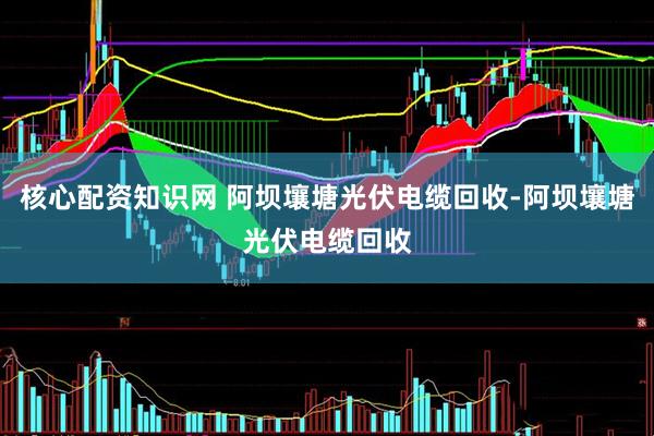核心配资知识网 阿坝壤塘光伏电缆回收-阿坝壤塘光伏电缆回收