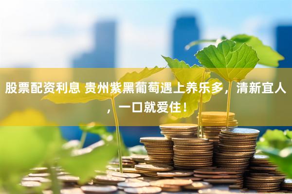 股票配资利息 贵州紫黑葡萄遇上养乐多，清新宜人，一口就爱住！