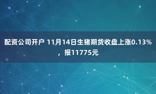 配资公司开户 11月14日生猪期货收盘上涨0.13%，报11775元